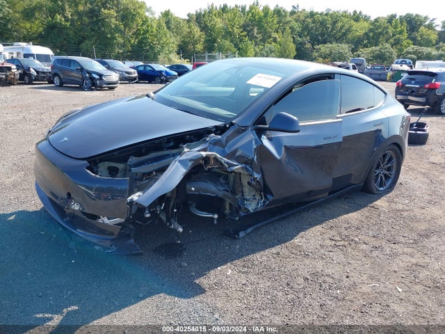 2024 TESLA MODEL Y 7SAYGDEE0RA301439 Photo 1