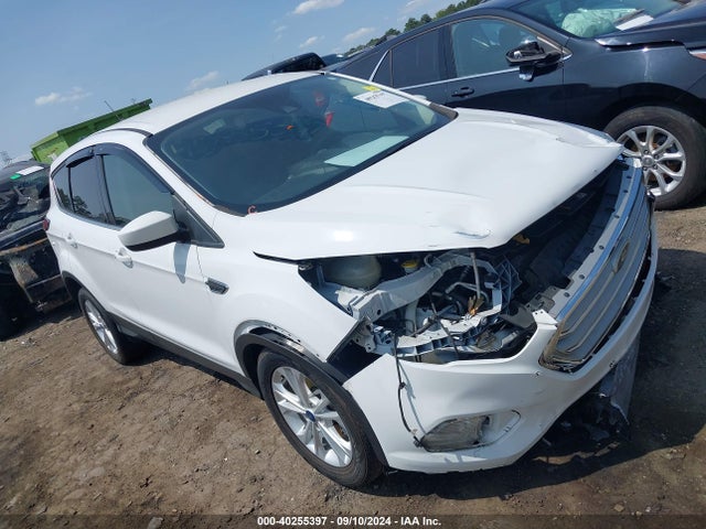 2019 1FMCU0GD8KUA11006 zdjęcie główne