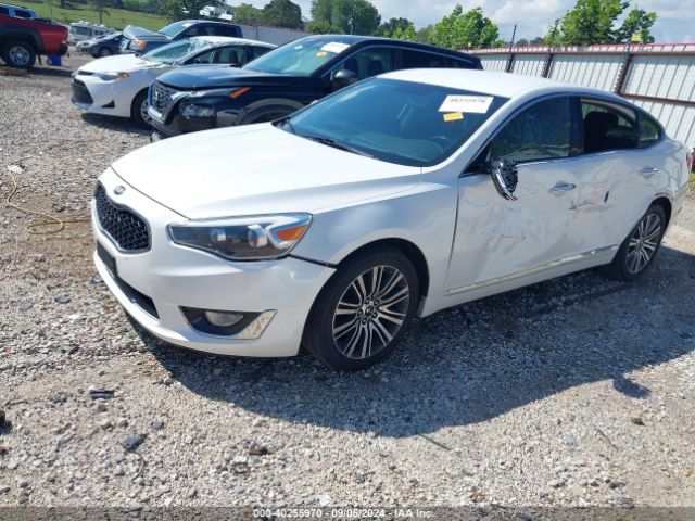 KNALN4D78E5134811 KIA Cadenza Premium