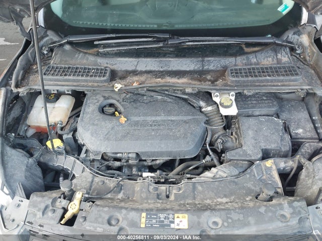 Ford ESCAPE SE 2014 1FMCU0GX5EUD81358 Image 10