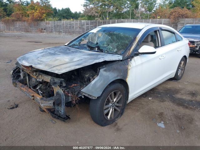 5NPE24AF0GH273186 Hyundai SONATA SE