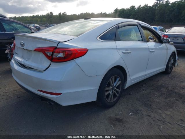5NPE24AF0GH273186 Hyundai SONATA SE