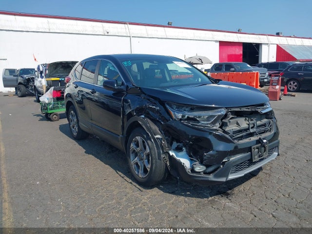 2019 JHLRW2H80KX019625 main image