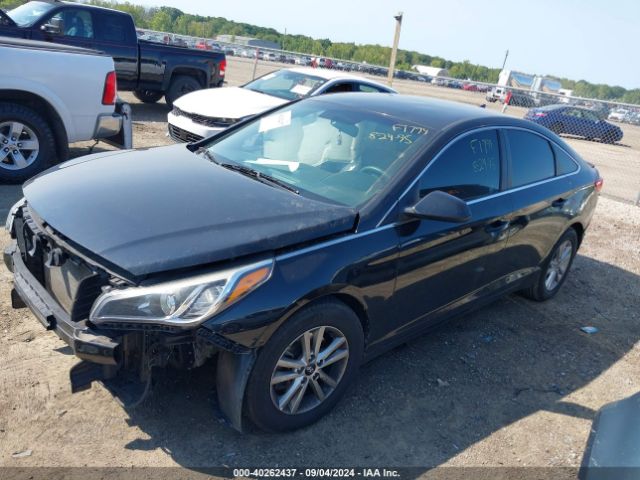 5NPE24AF4HH570219 Hyundai Sonata