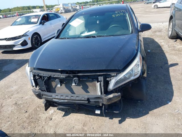 5NPE24AF4HH570219 Hyundai Sonata