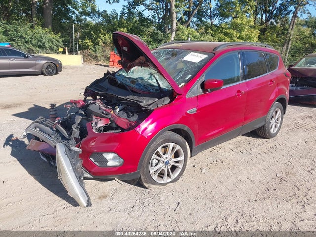 Ford ESCAPE SEL 2019 1FMCU0HD5KUB76574 Image 2