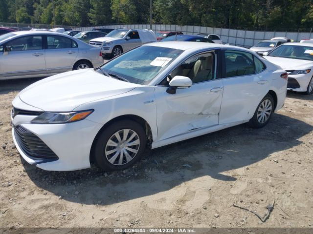 4T1L31AK1LU521716 Toyota Camry Le Hybrid