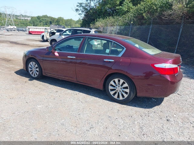 Honda ACCORD EX 2014 1HGCR2F74EA073653 Image 3