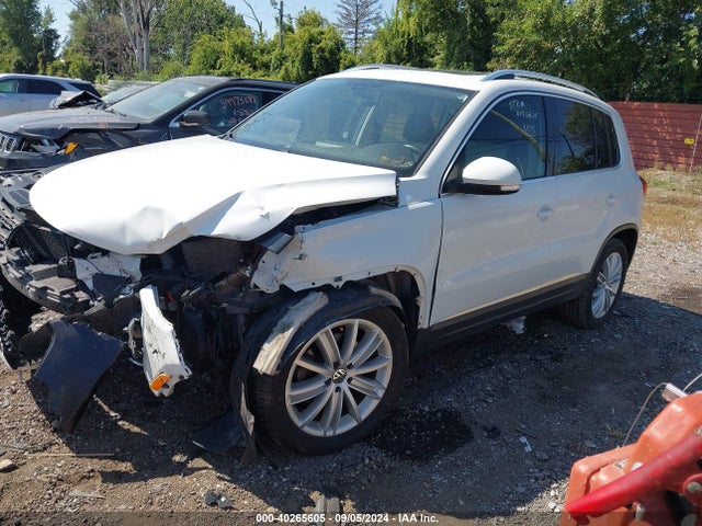 WVGAV7AX7GW533055 Volkswagen TIGUAN SE