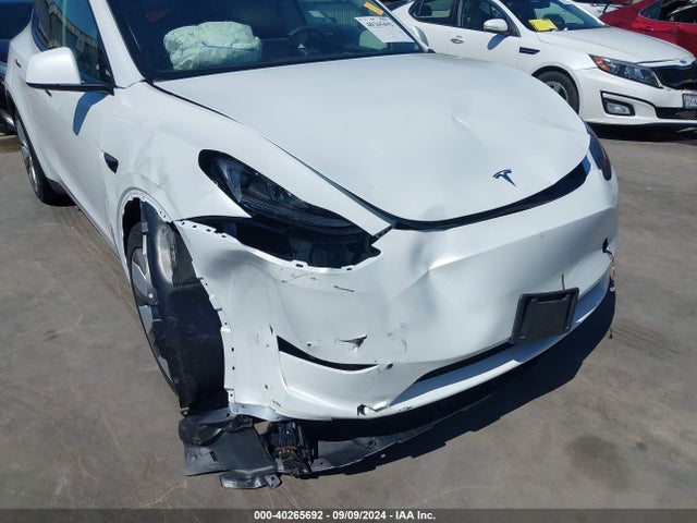 2024 TESLA MODEL Y 7SAYGDEE0RA280527 Photo 5