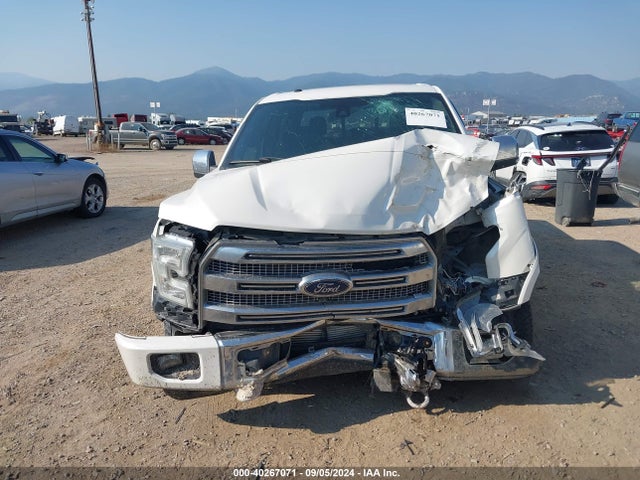 1FTEW1EG3FFB85599 Ford F-150 Platinum
