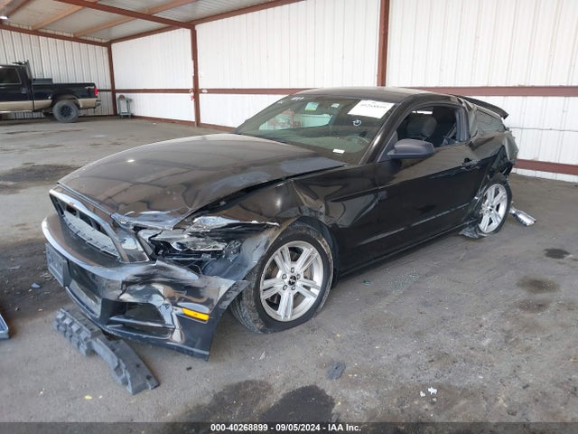 Ford Mustang V6 2014 1ZVBP8AM6E5266294 Image 2