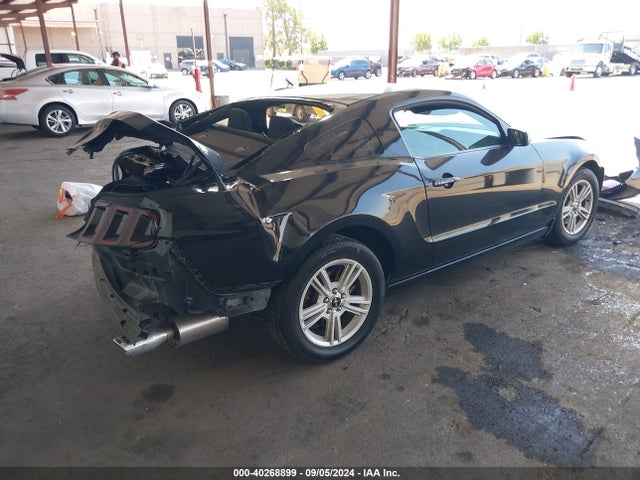 Ford Mustang V6 2014 1ZVBP8AM6E5266294 Image 4