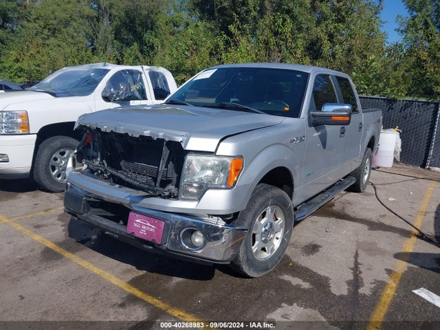 Ford F-150 Xlt 2014 1FTFW1ET5EKG06990 Image 2
