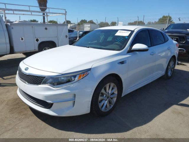 5XXGT4L37JG251116 KIA Optima Lx