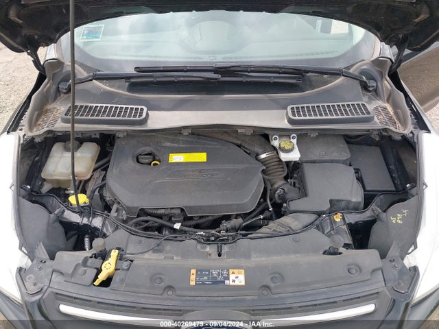 Ford ESCAPE SE 2016 1FMCU9GX4GUC65026 Image 10
