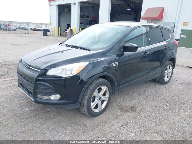 Ford ESCAPE SE 2016 1FMCU9GX4GUC65026 Image 2