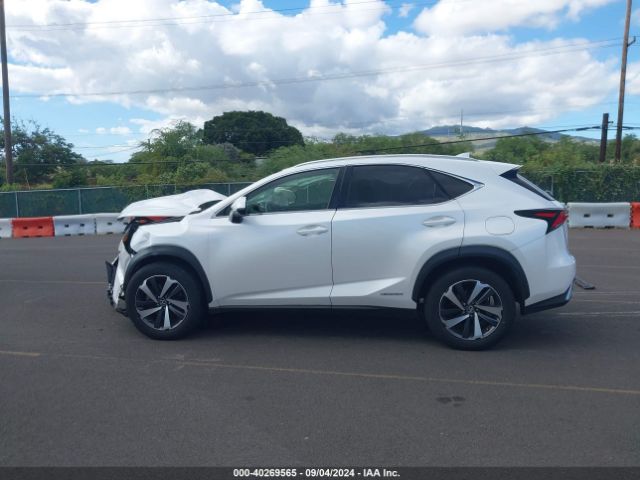JTJDJRDZ9L5009991 Lexus NX 300H