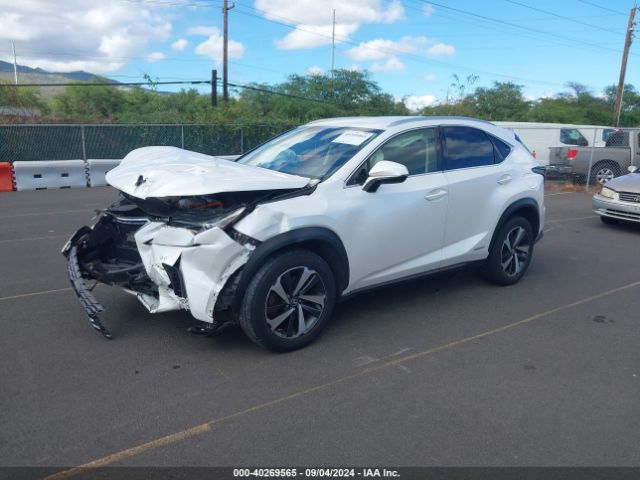 JTJDJRDZ9L5009991 Lexus NX 300H