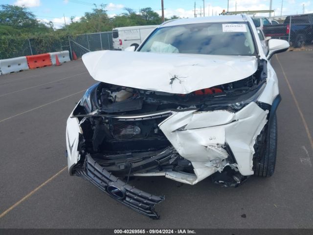 JTJDJRDZ9L5009991 Lexus NX 300H