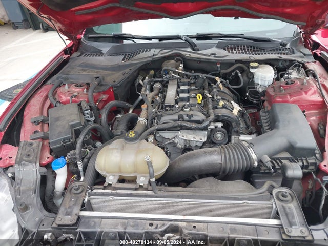 Ford Mustang Ecoboost Fastback 2021 1FA6P8TH8M5119032 Image 10