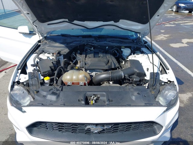 Ford Mustang Ecoboost 2019 1FA6P8TH8K5199980 Image 10
