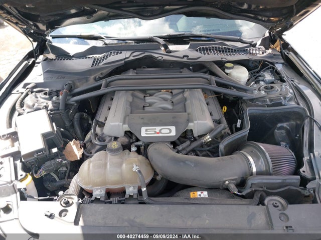 1FA6P8CFXG5230359 Ford Mustang Gt Premium