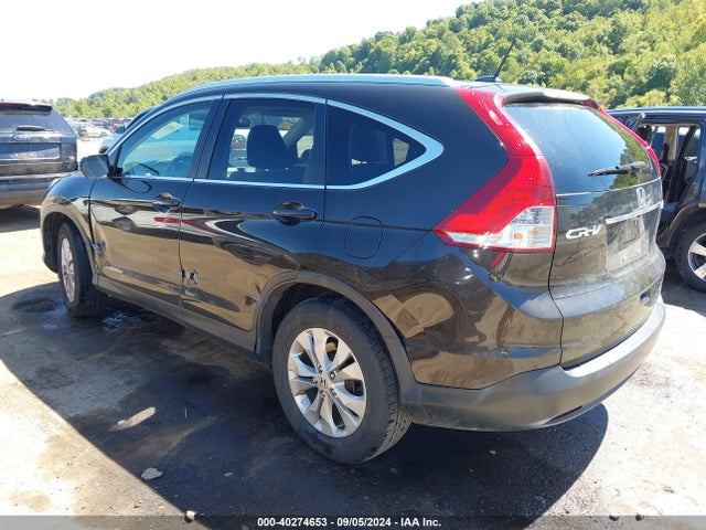 Honda Cr-v Ex-l 2014 2HKRM4H77EH686083 Image 3