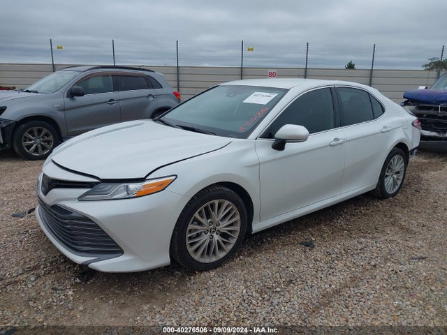 Toyota CAMRY XLE 2020 4T1F11AK2LU393411 Image 2