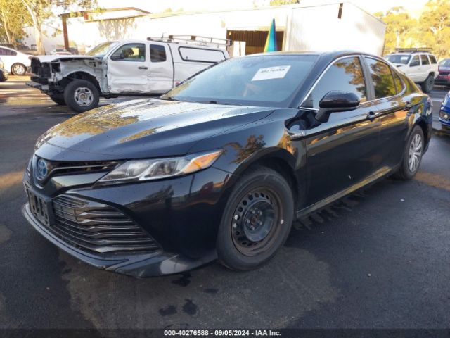 4T1B31HKXJU002260 Toyota Camry Hybrid Le