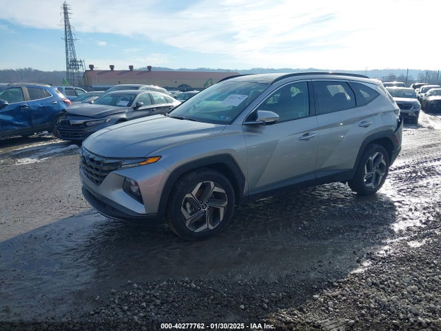 Hyundai Tucson Limited 2024 5NMJECDEXRH397632 Image 2