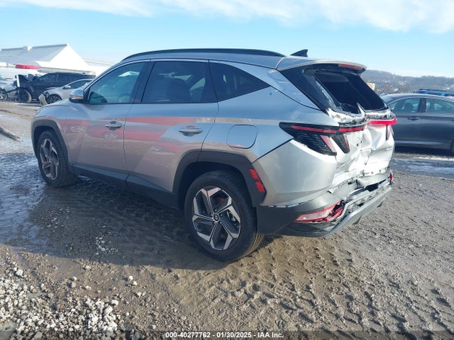 Hyundai Tucson Limited 2024 5NMJECDEXRH397632 Image 3