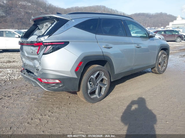 Hyundai Tucson Limited 2024 5NMJECDEXRH397632 Image 4