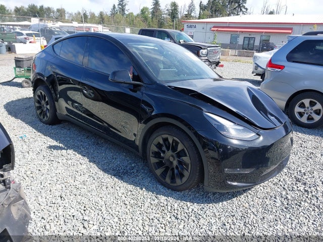 2023 TESLA MODEL Y 7SAYGDEEXPF816495 Photo 0