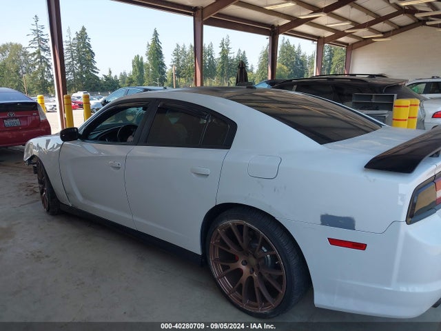 Dodge Charger Srt 2014 2C3CDXEJ2EH303087 Image 13