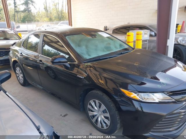 4T1C31AKXLU535856 Toyota Camry Le Hybrid