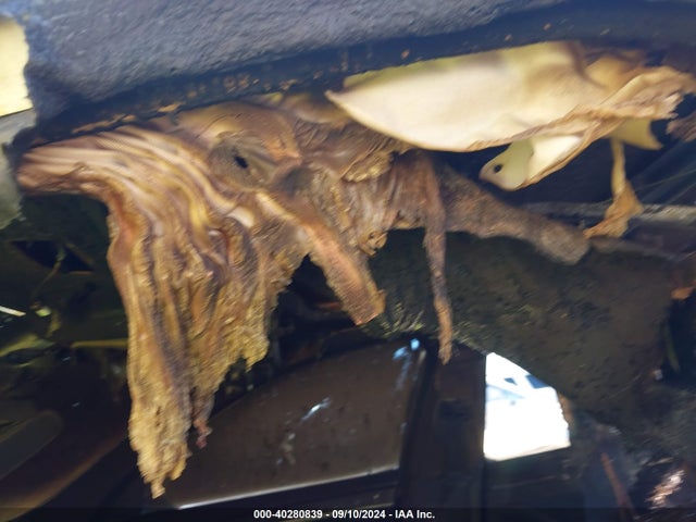 WBA5A5C59FD524169 BMW 528I