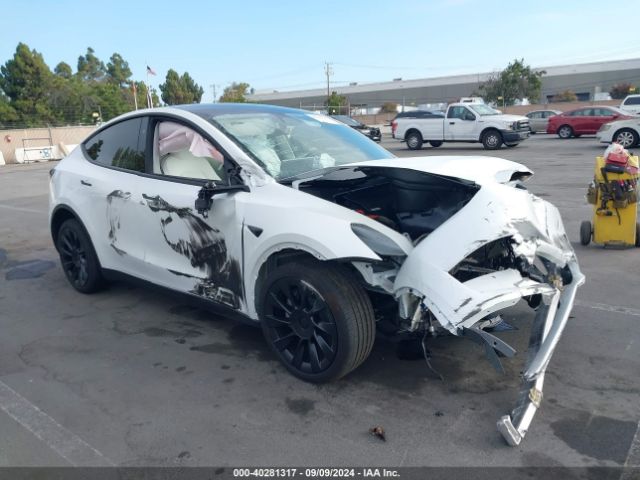 2024 TESLA MODEL Y 7SAYGDEE9RF058832