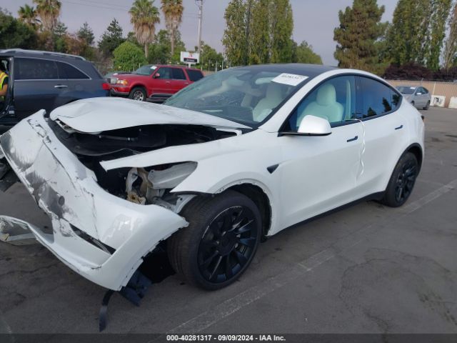 2024 TESLA MODEL Y 7SAYGDEE9RF058832 Photo 1