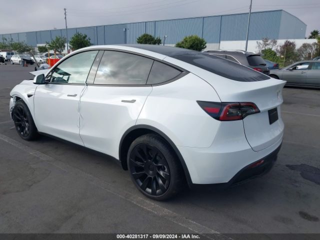 2024 TESLA MODEL Y 7SAYGDEE9RF058832 Photo 2
