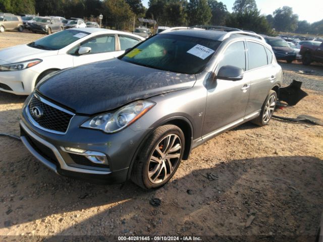 JN1BJ0RP0GM232660 Infiniti QX50