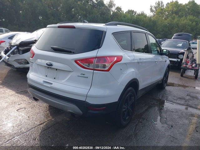 Ford ESCAPE SE 2014 1FMCU0G98EUD64670 Image 4