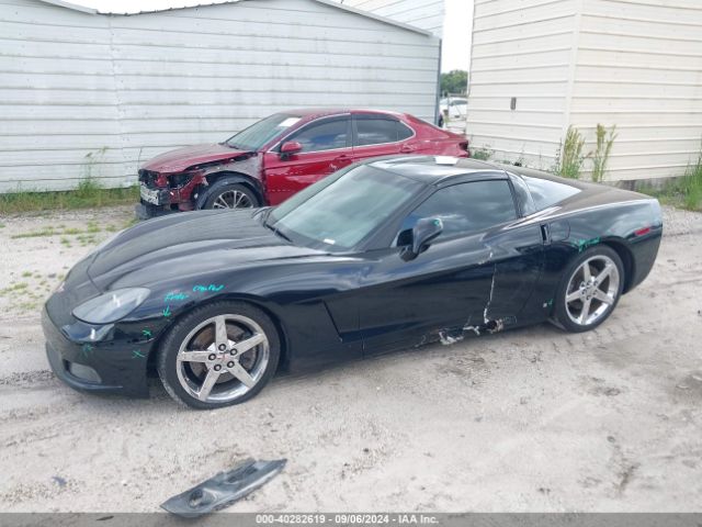 2007 CHEVROLET CORVETTE 1G1YY26U675104550 Photo 5