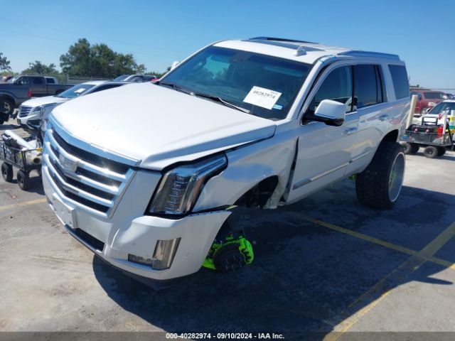 1GYS3BKJ6LR124477 Cadillac Escalade 2wd Luxury