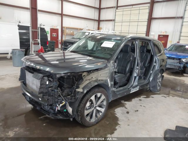 5XYP34HC6NG265891 KIA Telluride Ex