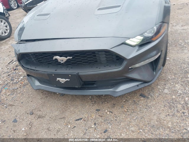 Ford Mustang Ecoboost Fastback 2020 1FA6P8TH0L5154405 Image 12