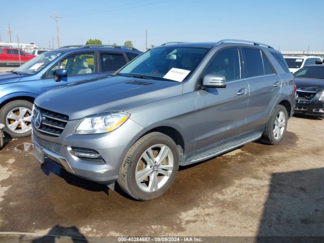 2013 MERCEDES-BENZ M-CLASS 4JGDA5JBXDA257996 Photo 1