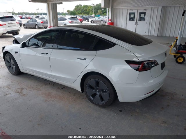 Tesla Model 3 Rear-wheel Drive 2023 5YJ3E1EA3PF647784 Image 3