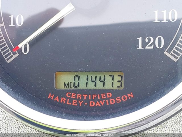 2005 HARLEY-DAVIDSON FLSTF 1HD1BMY185Y030793 Photo 6