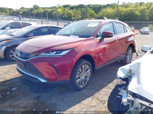 JTEAAAAH1RJ174559 Toyota Venza Xle